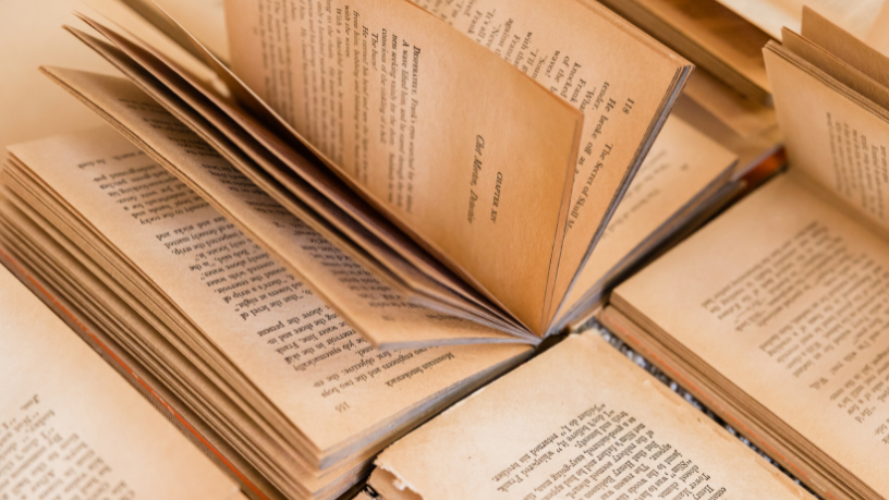 Resumo de A Resistência – Julián Fuks