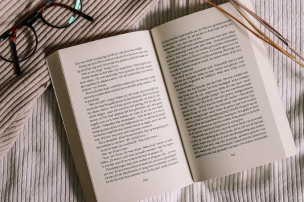 Resumo de Legend de Marie Lu