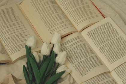 Resumo de Legend – Marie Lu