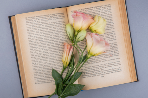 Resumo de Mechanics of Materials – R. C. Hibbeler