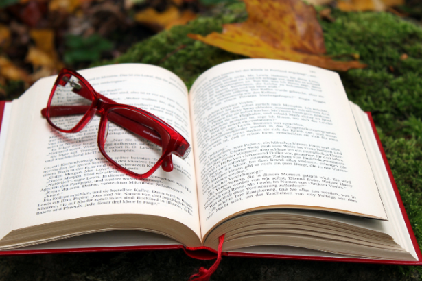 Resumo de O Cheiro do Ralo – Lourenço Mutarelli