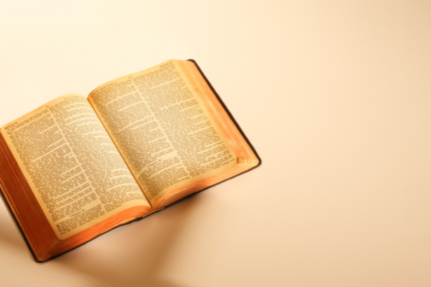 Resumo de O Evangelho Segundo Jesus Cristo