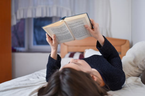 Resumo de O Seminarista – Bernardo Guimarães