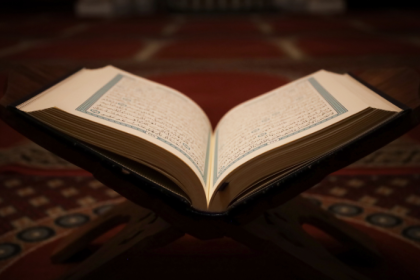 Resumo de Os 13 Porquês