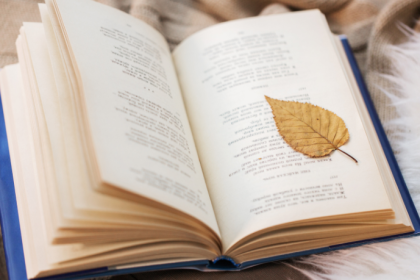Resumo de Poemas Escolhidos – Cecília Meireles
