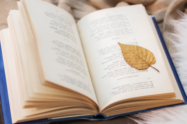 Resumo de Poemas Escolhidos – Cecília Meireles