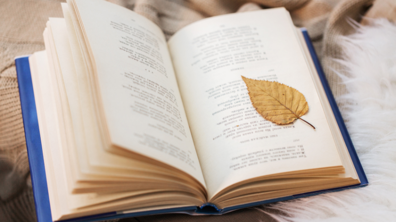 Resumo de Poemas Escolhidos – Cecília Meireles