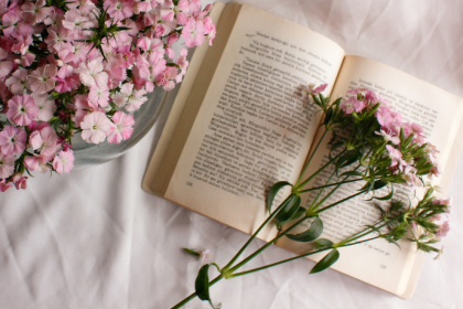 Resumo de Verdade, de Colleen Hoover