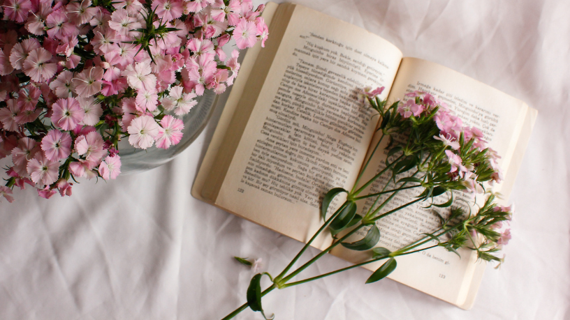 Resumo de Verdade, de Colleen Hoover