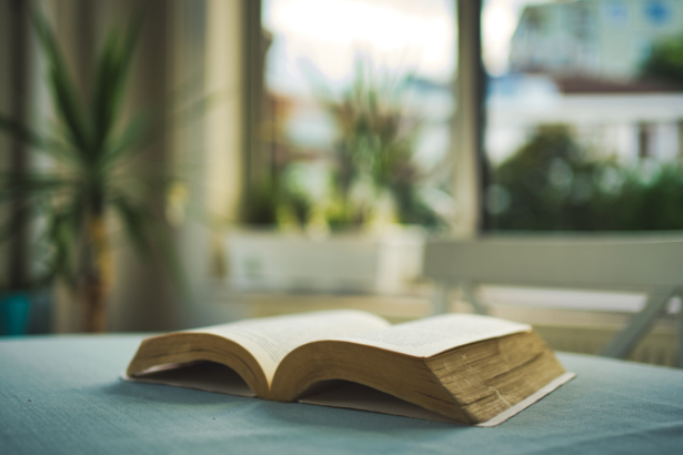 Resumo do A Falência – Júlia Lopes de Almeida