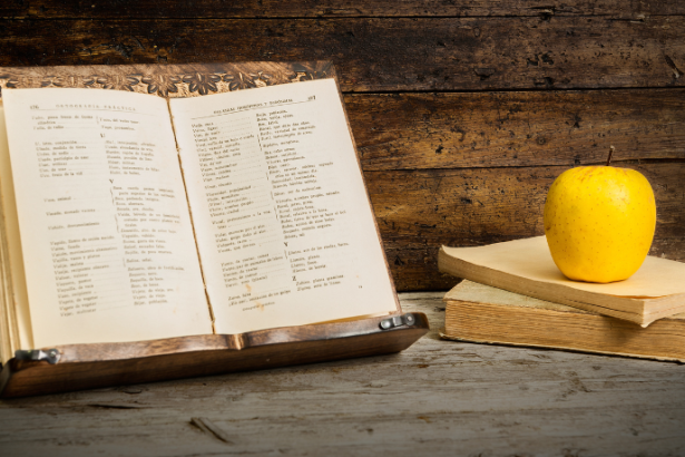 Resumo do A Mão e a Luva – Machado de Assis