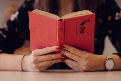 Resumo do Budapeste – Chico Buarque