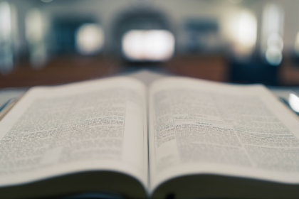 Resumo do Electric Machinery Fundamentals