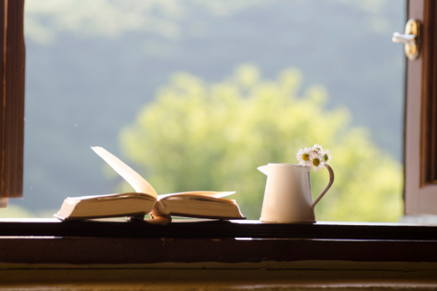 Resumo do Luzia-Homem