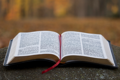 Resumo do Navio Negreiro – Castro Alves