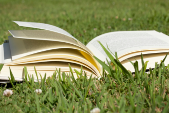 Resumo do O Caso dos Dez Negrinhos – Agatha Christie