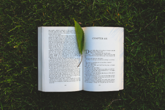 Resumo do O Castelo – Franz Kafka