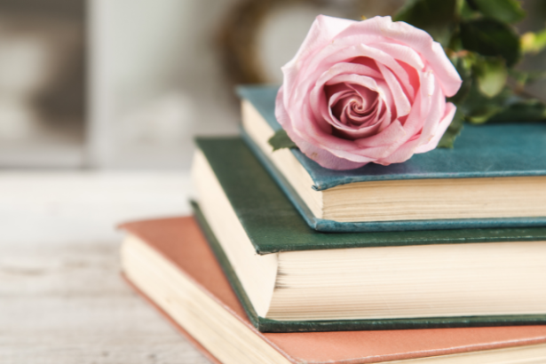 Resumo do O Menino no Espelho