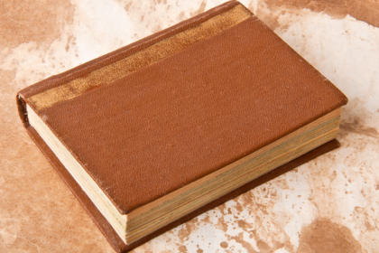 Resumo do Sol da Meia-Noite – Stephenie Meyer