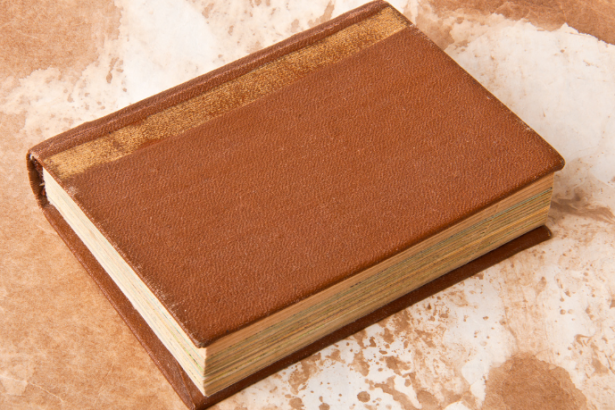 Resumo do Sol da Meia-Noite – Stephenie Meyer