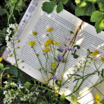 Resumo do Um Copo de Cólera – Raduan Nassar