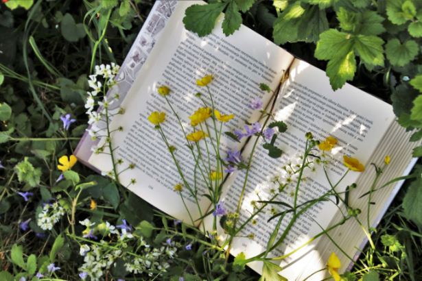 Resumo do Um Copo de Cólera – Raduan Nassar