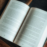 Resumo do livro A Cabeça do Santo – Socorro Acioli