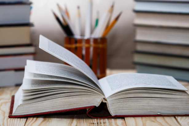 Resumo do livro A Casa dos Budas Ditosos – João Ubaldo Ribeiro