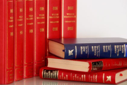 Resumo do livro Crônica de uma Morte Anunciada