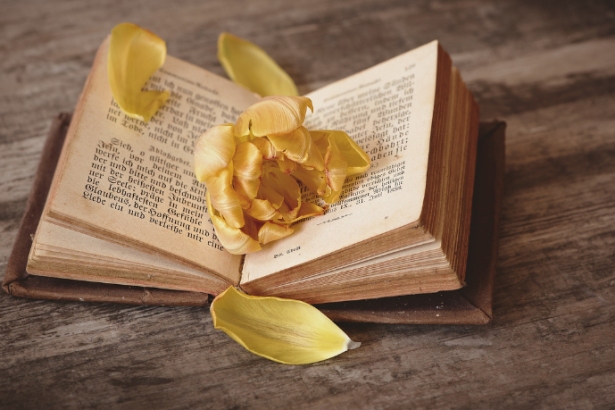 Resumo do livro Manual Bíblico de Halley