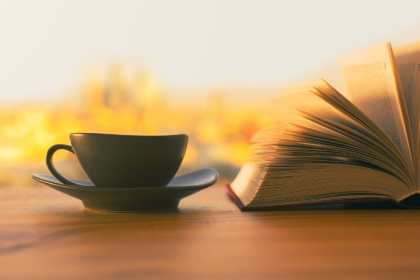 Resumo do livro Mobiliário para uma fuga em março