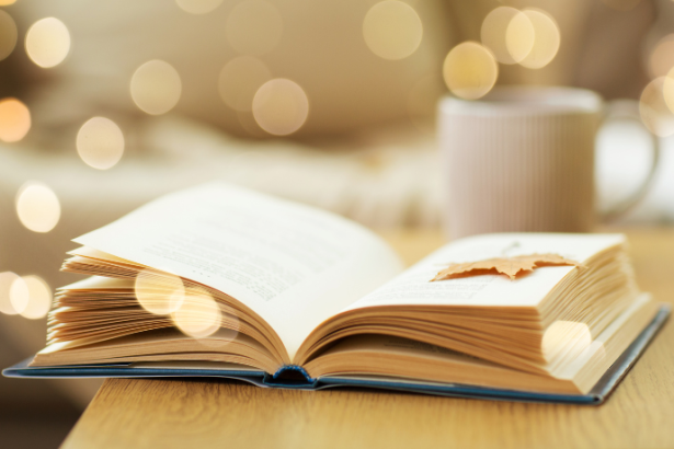 Resumo do livro Noite na Taverna