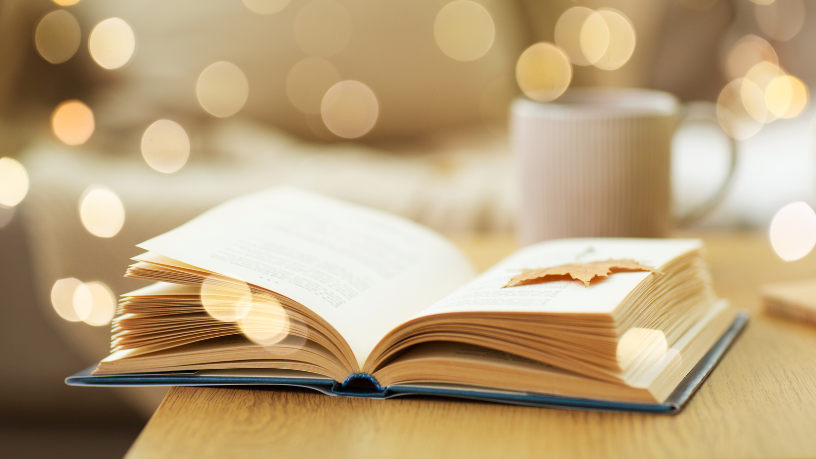 Resumo do livro Noite na Taverna