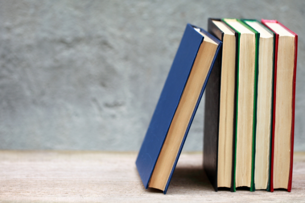 Resumo do livro O Homem que Caiu na Terra – Walter Tevis