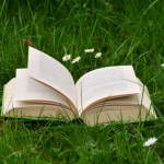 Resumo do livro “O Livro do Desconhecido” – José Luís Peixoto