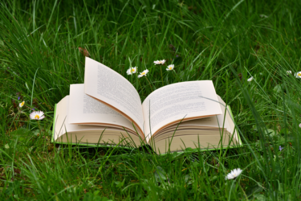 Resumo do livro “O Livro do Desconhecido” – José Luís Peixoto