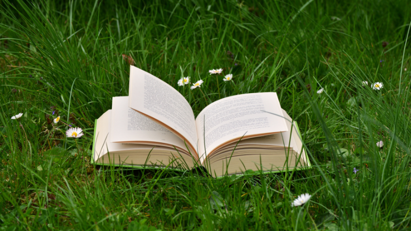 Resumo do livro “O Livro do Desconhecido” – José Luís Peixoto