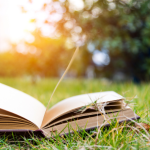 Resumo do livro O Peso do Pássaro Morto