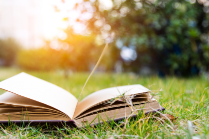 Resumo do livro O Peso do Pássaro Morto