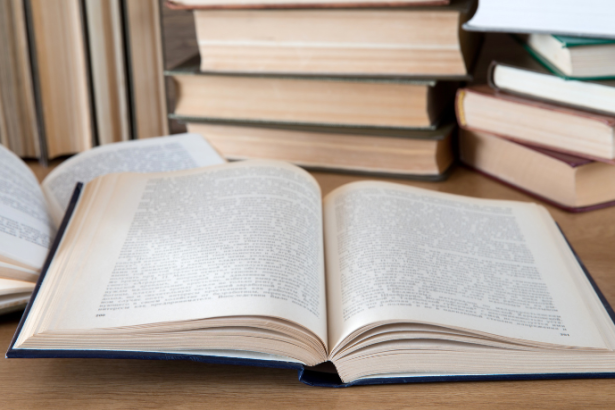 Resumo do livro O Último dos Moicanos