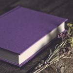 Resumo do livro Os Sete Maridos de Evelyn Hugo