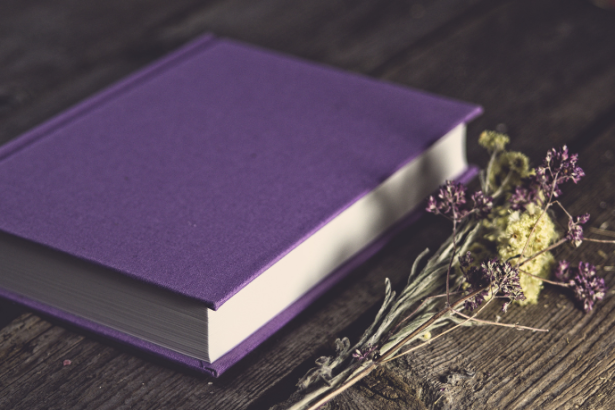 Resumo do livro Os Sete Maridos de Evelyn Hugo