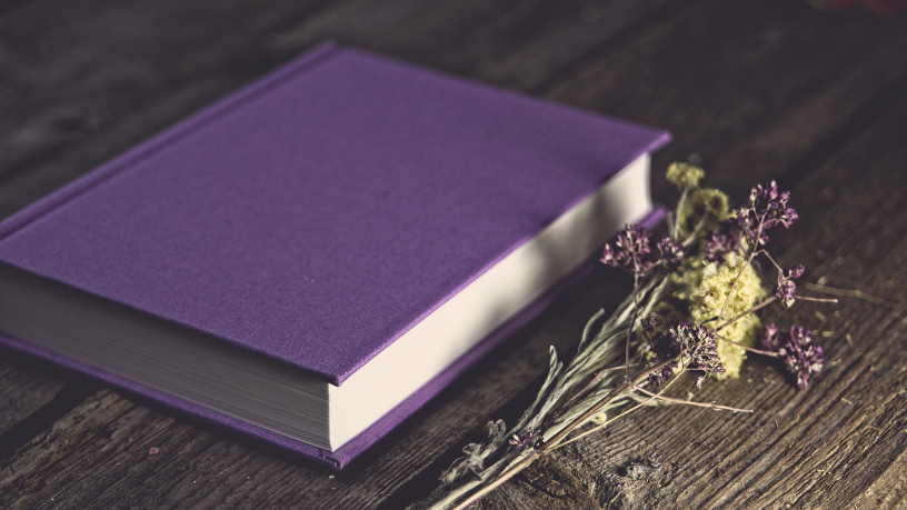 Resumo do livro Os Sete Maridos de Evelyn Hugo