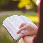 Resumo do livro Sapé – Permínio Asfora