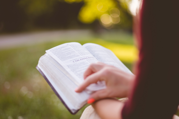 Resumo do livro Sapé – Permínio Asfora