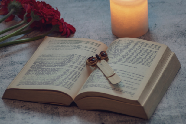 Resumo do livro Susana Vieira Senhora do Meu Destino