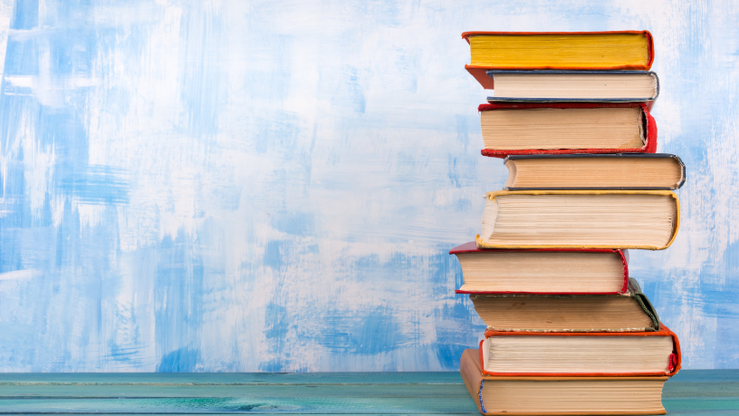 Resumo do livro Vista Chinesa – Tatiana Salem Levy