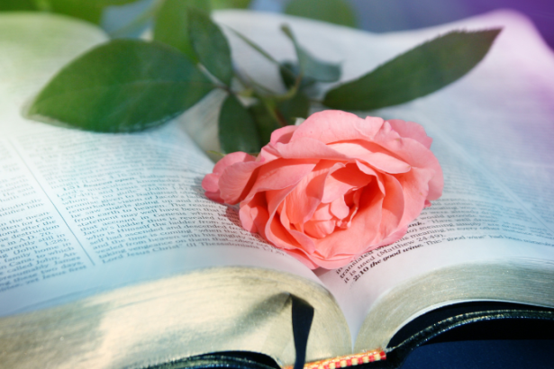 Resumo de Noite  Grande – Permínio Asfora