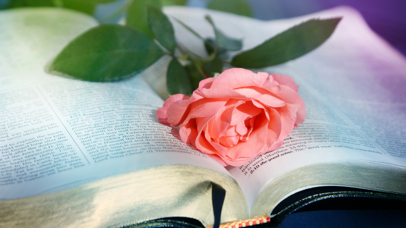 Resumo de Noite  Grande – Permínio Asfora