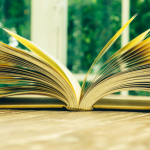 Resumo de O Palácio de Inverno – John Boyne